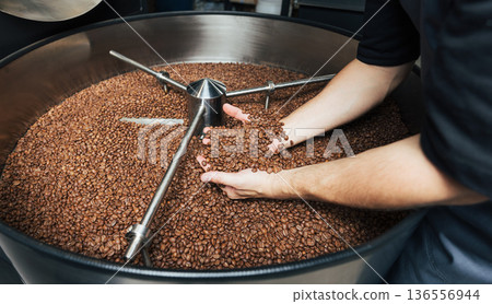 Close-up and high-detail shot of male hands carefully holding coffee beans Close-up and high-detail shot of male hands carefully holding coffee beans 136556944