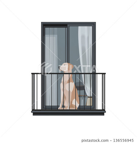 Dog Sitting on Balcony Looking Outside During the Day in a Modern Apartment Setting 136556945