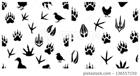 Diverse collection of animal paw prints and bird footprints in silhouette 136557150