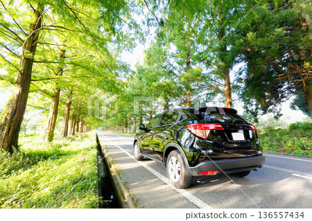 A car standing on a refreshing, green tree-lined road A car standing on a refreshing, green tree-lined road 136557434