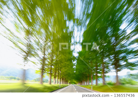 火車窗外的景色：疾馳穿過綠意盎然的街道 136557436