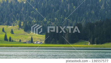 Houses near a lake surrounded by green hills and forest in a sunny afternoon in the countryside Houses near a lake surrounded by green hills and forest in a sunny afternoon in the countryside 136557577
