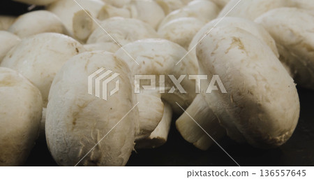 Fresh white mushrooms are gathered on a surface and ready for cooking or preparation in a kitchen setting Fresh white mushrooms are gathered on a surface and ready for cooking or preparation in a kitchen setting 136557645