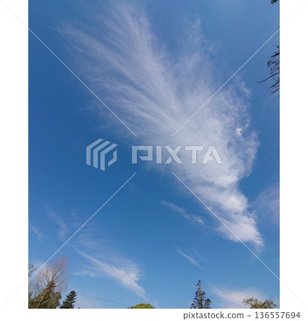 一朵似龍臉的神秘雲朵漂浮在藍天之上 136557694