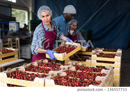 Woman in uniform sorts cherry at store 136557733