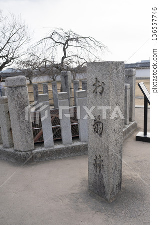 姬路城二之丸城內的阿菊井,世界遺產與國寶 姬路城二之丸城內的阿菊井,世界遺產與國寶 136557746