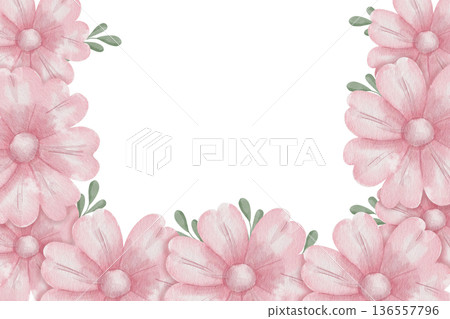 Delicate watercolor floral frame with pink daisies and green leaves with central text space, white background, for romantic wedding invitations, cheerful birthday cards, and elegant party stationery 136557796