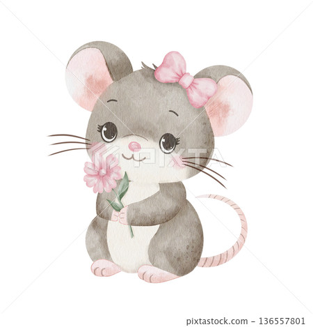 Watercolor illustration of cute mouse with pink bow, holding flower in its paws. Isolated on white background. Perfect for children's projects, greeting cards, nursery decor and packaging design Watercolor illustration of cute mouse with pink bow, holding flower in its paws. Isolated on white background. Perfect for children's projects, greeting cards, nursery decor and packaging design 136557801