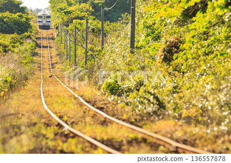 一列柴油列車行駛在指宿枕崎線上，沿著連接薩摩川尻和東街道的直線線路前進。 136557878