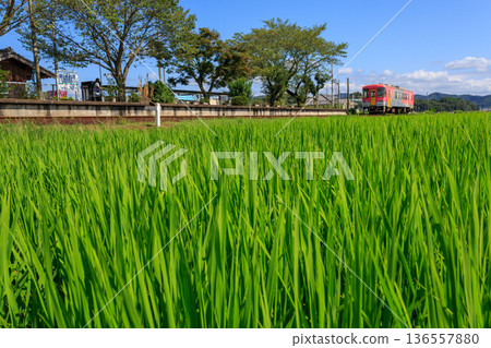 一列北條鐵道柴油列車抵達播磨橫田站,該站孤零零地矗立在稻田中央。 一列北條鐵道柴油列車抵達播磨橫田站,該站孤零零地矗立在稻田中央。 136557880