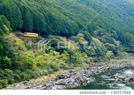 The yellow diesel railcar on the Yodo Line runs through the valley along the Shimanto River. 136557888
