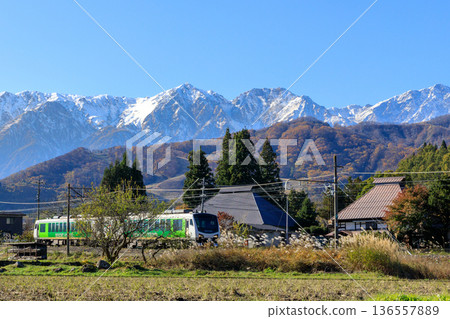 欣賞白馬村初冬的景色，背景是後立山山脈。 136557889