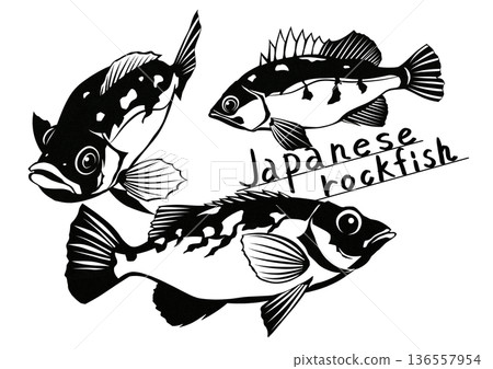 哦，如果你想捕捉一群岩魚，這就是你要找的！這是一幅很酷的岩魚剪紙插圖。 136557954