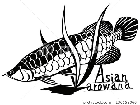 Cool paper cutout illustration of the luxury tropical fish Asian arowana 136558066