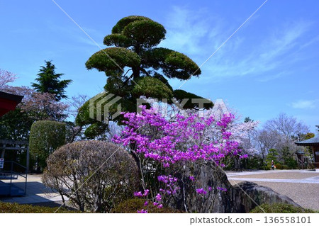 尖活神社 茨城縣筑波市 136558101