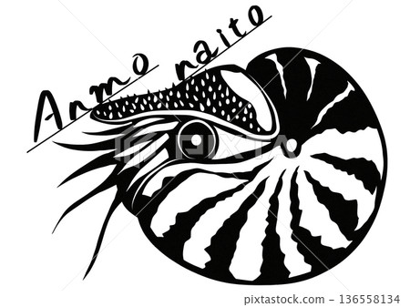 A simple black and white illustration of an ammonite with cool text A simple black and white illustration of an ammonite with cool text 136558134