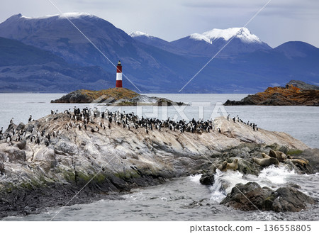 Beagle Channel - Tierra del Fuego in southern Argentina Beagle Channel - Tierra del Fuego in southern Argentina 136558805