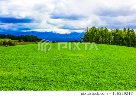 Landscape with green hills and clouds Landscape with green hills and clouds 136559217