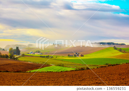 晨霧窗口 136559231