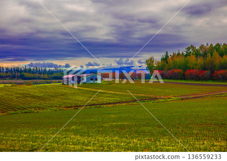 黃昏的鄉村景觀 136559233