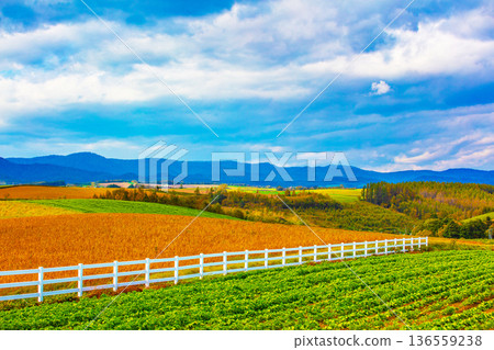 牧場的一角 136559238