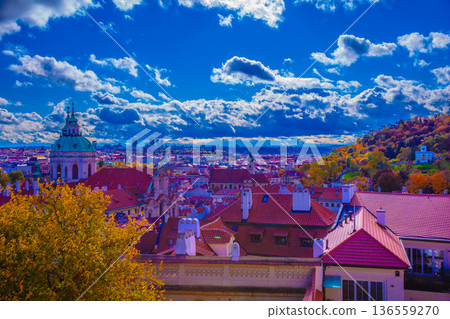 City seen from the top of the hill 136559270