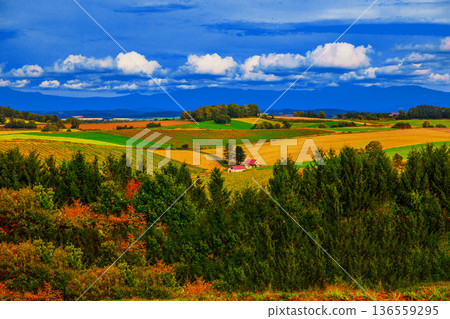 紅屋頂的房子 136559295