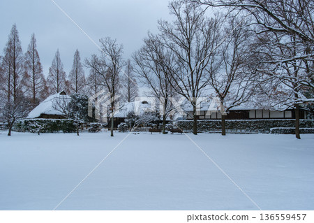 雪場面在豪宅森林裡 136559457