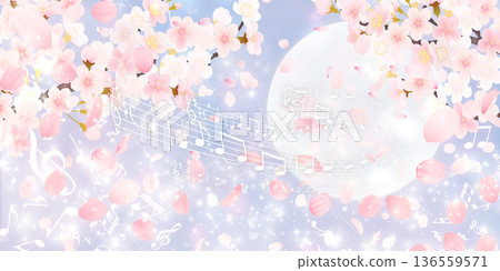 落花櫻花背景素材 落花櫻花背景素材 136559571
