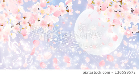 落花櫻花背景素材 136559572