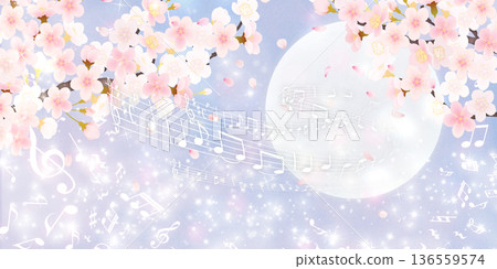 落花櫻花背景素材 落花櫻花背景素材 136559574