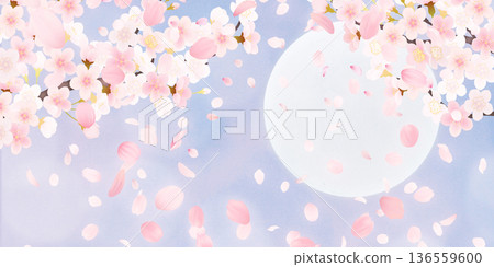 落花櫻花背景素材 136559600
