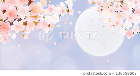 落花櫻花背景素材 136559602