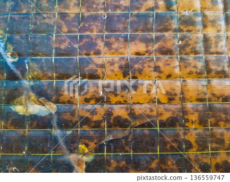 Budapest Industrial Amber Wire Glass Texture at Pongratz Gergely ter with Internal Mesh Grid and Rusty Stains Architectural Detail Background for Aesthetic Design and Urban Art in Hungary Europe Budapest Industrial Amber Wire Glass Texture at Pongratz Gergely ter with Internal Mesh Grid and Rusty Stains Architectural Detail Background for Aesthetic Design and Urban Art in Hungary Europe 136559747