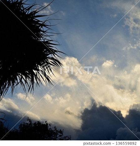 A ray of light rising above the clouds 136559892