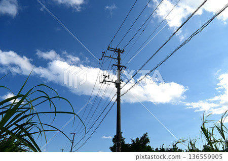 Winter sky over sugarcane fields Winter sky over sugarcane fields 136559905
