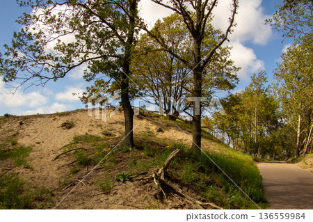 Cloudy sky above the dune landscape in National Park Kennemerland 136559984