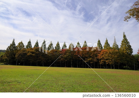 Autumn park Autumn park 136560010
