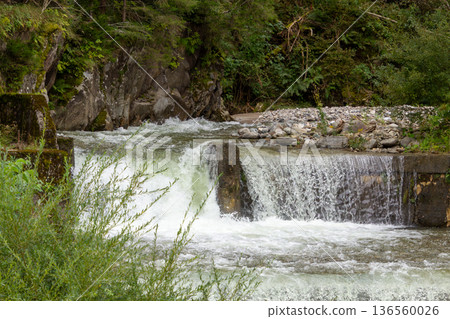 Waterfall in Napplach, Carinthia, Austria 136560026