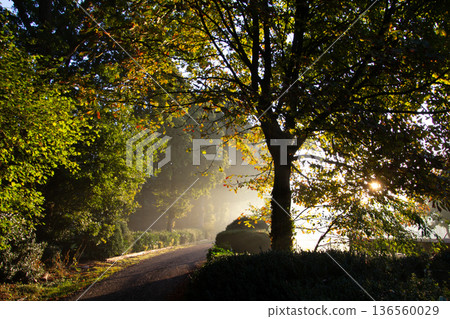 Sunset on an early misty morning on the road in Hoogersmilde Sunset on an early misty morning on the road in Hoogersmilde 136560029
