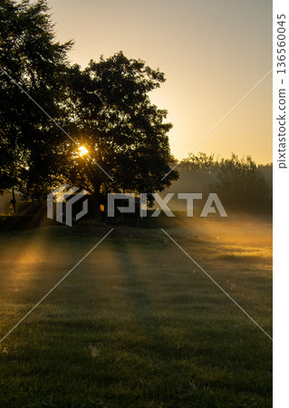 Sunset on an early misty morning shining over the meadow in Hoogersmilde. Sunset on an early misty morning shining over the meadow in Hoogersmilde. 136560045