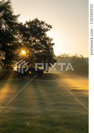 Sunset on an early misty morning shining over the meadow in Hoogersmilde. Sunset on an early misty morning shining over the meadow in Hoogersmilde. 136560050