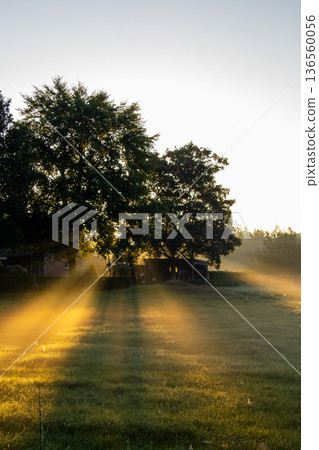 Sunset on an early misty morning shining over the meadow in Hoogersmilde. 136560056