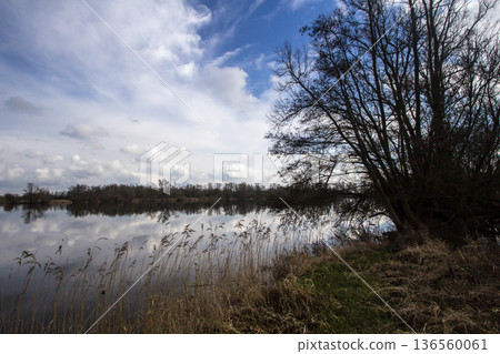 Floodplain landscape in Pannerden Floodplain landscape in Pannerden 136560061