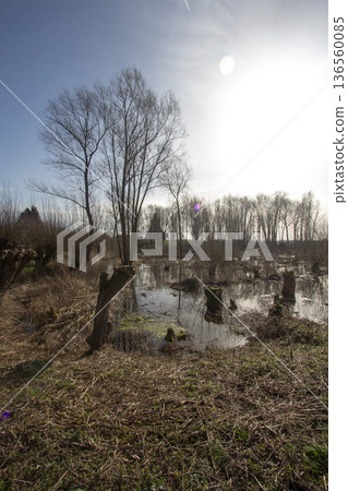 Floodplain landscape in Aerdt 136560085