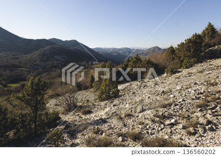 Skadar Lake National park panoramic landscape, Montenegro, Hiking in Skadar Lake, Skadarsko jezero, also called Shkodra or Scutari, with mountains and village in a sunny day, Montenegrin Balkan nature Skadar Lake National park panoramic landscape, Montenegro, Hiking in Skadar Lake, Skadarsko jezero, also called Shkodra or Scutari, with mountains and village in a sunny day, Montenegrin Balkan nature 136560202