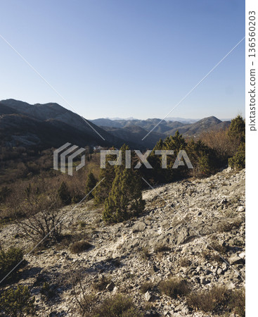 Skadar Lake National park panoramic landscape, Montenegro, Hiking in Skadar Lake, Skadarsko jezero, also called Shkodra or Scutari, with mountains and village in a sunny day, Montenegrin Balkan nature Skadar Lake National park panoramic landscape, Montenegro, Hiking in Skadar Lake, Skadarsko jezero, also called Shkodra or Scutari, with mountains and village in a sunny day, Montenegrin Balkan nature 136560203