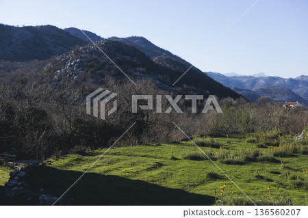 Skadar Lake National park panoramic landscape, Montenegro, Hiking in Skadar Lake, Skadarsko jezero, also called Shkodra or Scutari, with mountains and village in a sunny day, Montenegrin Balkan nature Skadar Lake National park panoramic landscape, Montenegro, Hiking in Skadar Lake, Skadarsko jezero, also called Shkodra or Scutari, with mountains and village in a sunny day, Montenegrin Balkan nature 136560207