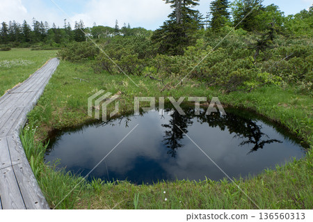 Scenery of a pond and boardwalk: Shinsen-numa Natural Recreation Forest and the surrounding mountains and forests Scenery of a pond and boardwalk: Shinsen-numa Natural Recreation Forest and the surrounding mountains and forests 136560313
