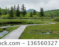 Scenery of a pond and boardwalk: Shinsen-numa Natural Recreation Forest and the surrounding mountains and forests 136560327